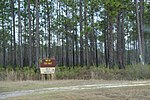 Thumbnail for Florida state forests