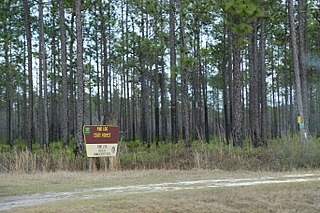 <span class="mw-page-title-main">Florida state forests</span>