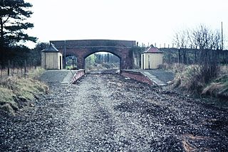 <span class="mw-page-title-main">Pinewood Halt railway station</span> Former railway station in England