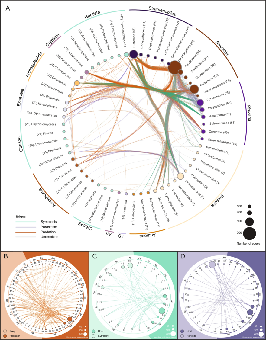 Planktonic protist interactome [118]Bipartite networks, providing an overview of the interactions represented by a manually curated Protist Interaction DAtabase (PIDA).
