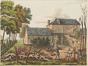 Hougoumont