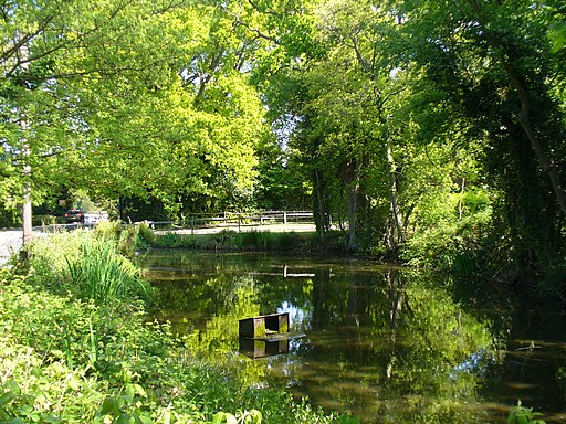 Pond by Ewhurst Green - geograph.org.uk - 1858391