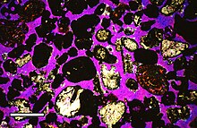 Optical method of measuring porosity: thin section under gypsum plate shows porosity as purple color, contrasted with carbonate grains of other colors. Pleistocene eolianite from San Salvador Island, Bahamas. Scale bar 500 mm. Porosity thin section GP.jpg