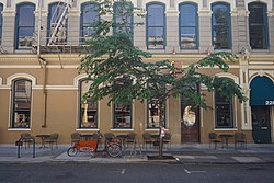 Portland July 2017 21 (Old Town Pizza & Brewing).jpg