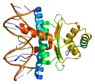 <span class="mw-page-title-main">CABIN1</span> Protein-coding gene in the species Homo sapiens