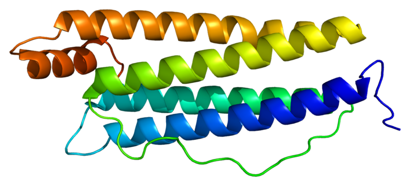 File:Protein FTL PDB 2ffx.png