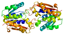 Protein GAMT PDB 1khh.png