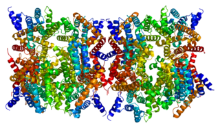 <span class="mw-page-title-main">PDE4D</span> Protein-coding gene in the species Homo sapiens