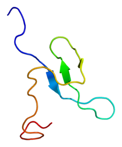 Protein WBP4 PDB 2dk1.png