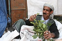 Yemeni man chewing khat Qat man.jpg