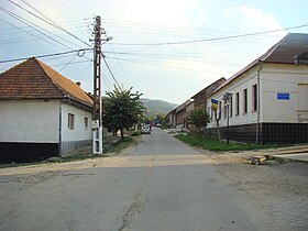 Lăpușnicel