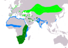 Aire de répartition de l'Avocette élégante