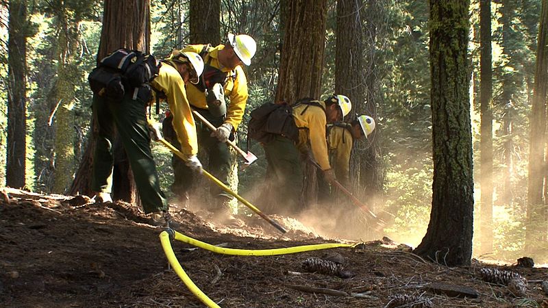 File:Rim Fire 20130817-FS-UNK-0007 (9599182891).jpg