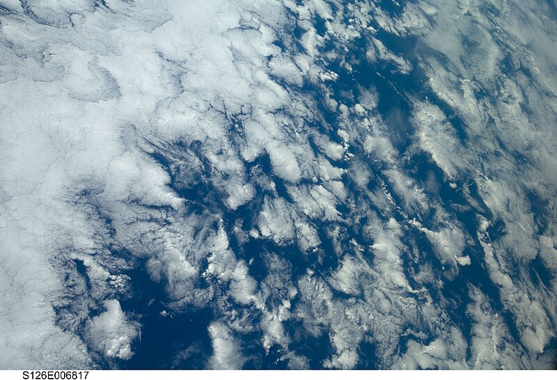 File:STS126-E-6817 - View of Earth.jpg