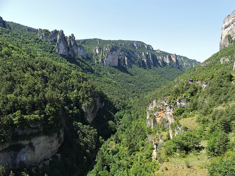 File:Saint-Pierre-des-Tripiers gorges Jonte aval maison Vautours (1).jpg