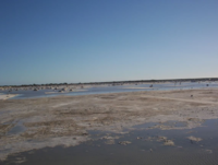 Manaure salt lagoons