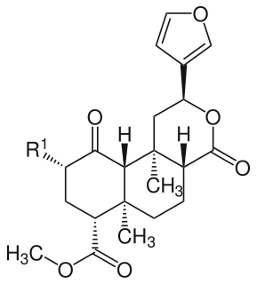 <span class="mw-page-title-main">Salvinorin</span>