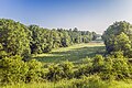 * Nomination View from "Spanshügel" hill to a flock of sheep in "Green Belt" national natural monument west of Schlechtsart --Plozessor 05:49, 2 March 2024 (UTC) * Promotion  Support Good quality. --Poco a poco 08:10, 2 March 2024 (UTC)