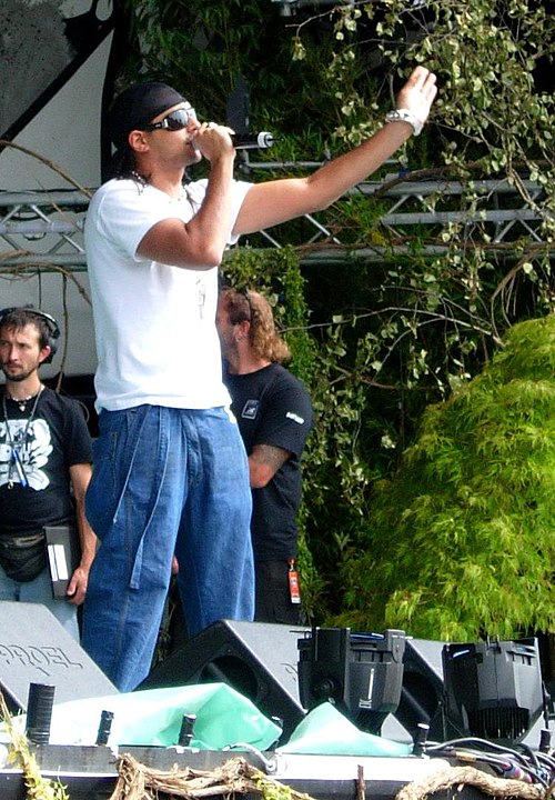 Paul performing in 2005