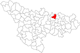 Umístění v Timiș County