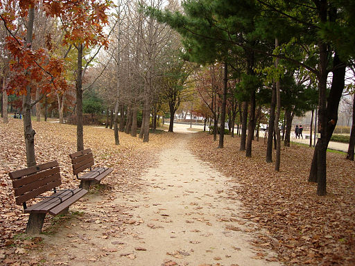 Seoulforest path01