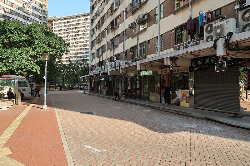 File:Sha Kok Estate Sand Martin House shops 2019.jpg