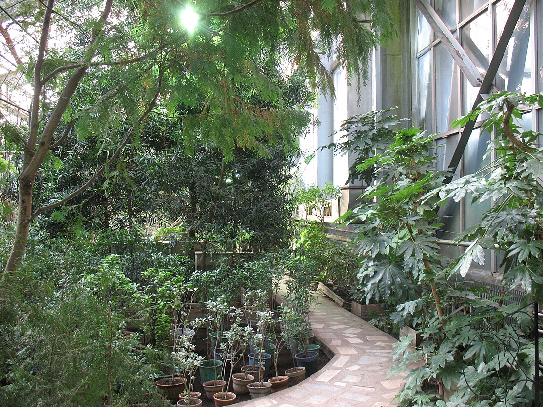 Jardin botanique de Sibérie