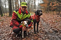 Photo einer Jägerin und zweier Stöberhunde in moderner Bekleidung im Wald während des Herbstes oder Winters.