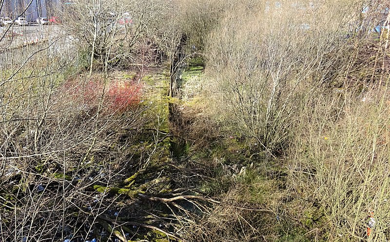 File:Site of Paisley Abercon railway station on the Renfrew Wharf line.jpg