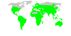Solanaceae map.svg