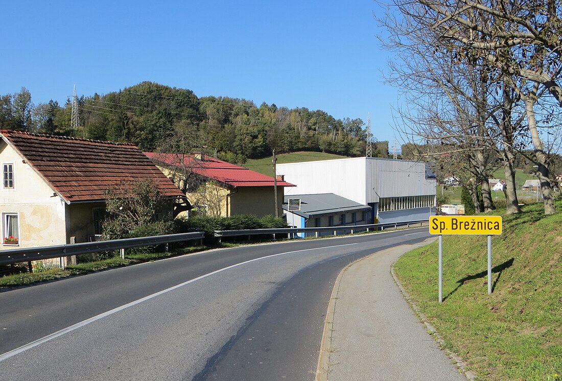 Spodnja Brežnica