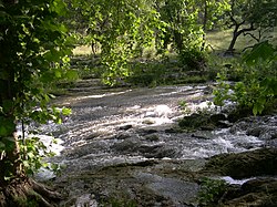 Şehrin adaşı Spring Branch'in Haziran 2007'deki görünümü.