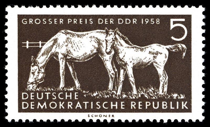 File:Stamps of Germany (DDR) 1958, MiNr 0640.jpg