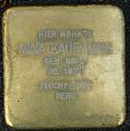 image=File:Stolperstein Mina Kaufmann, Baden-Baden.jpg