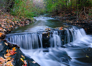 Ruisseau-De Montigny Nature Park Large nature park in Montreal, Canada