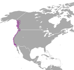 Mapa de distribución de Strongylocentrotus purpuratus