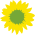 Sunflower (Green symbol).svg