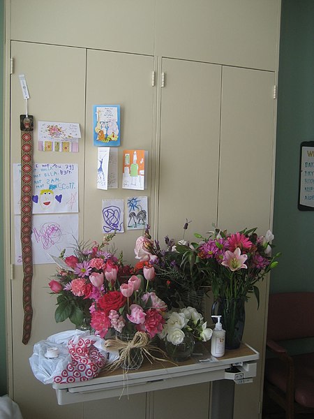 File:Support Wall - cards & flowers.jpg