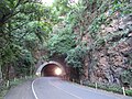 Vista del túnel