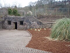 Rhondda Cynon Taf photo