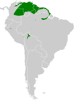 Distribución geográfica de la tangara isabel.