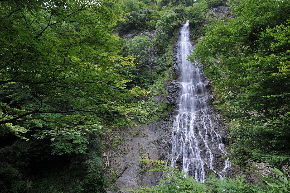 養父市