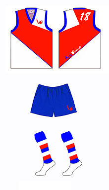 Former Paris Cockerels match kit (2008-2013) Tenue.jpg