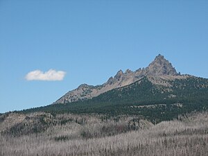 Three Fingered Jack