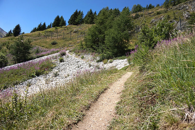 File:Tignes - trail 8.jpg