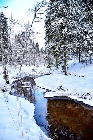 Tikste Ürgorg