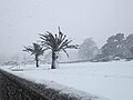 Image 23Torquay sea front during Storm Emma – March 2018 (from Devon)