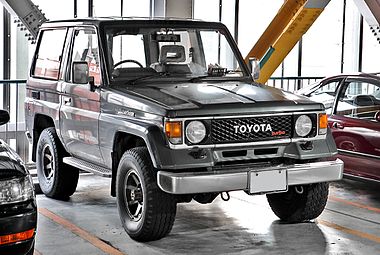 Toyota Land Cruiser 70 Light 003.JPG