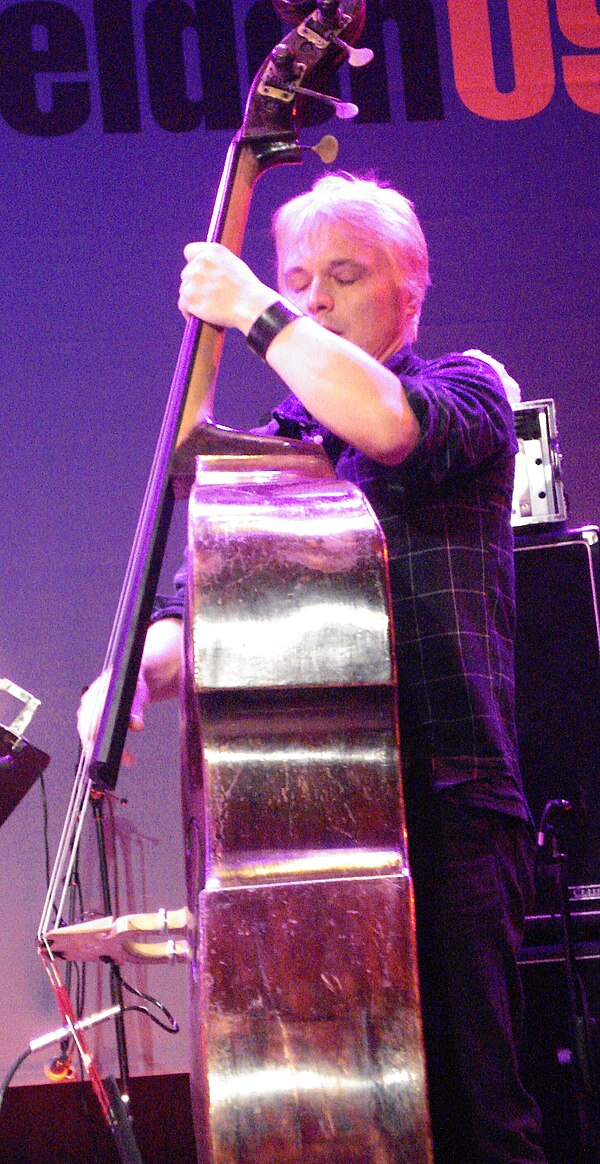 Trevor Dunn, Saalfelden Jazz Festival, 2009