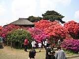 つつじが岡公園